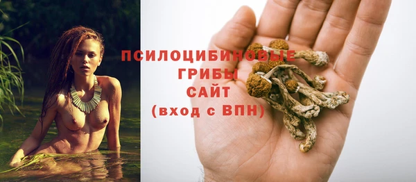 ПСИЛОЦИБИНОВЫЕ ГРИБЫ Новый Уренгой