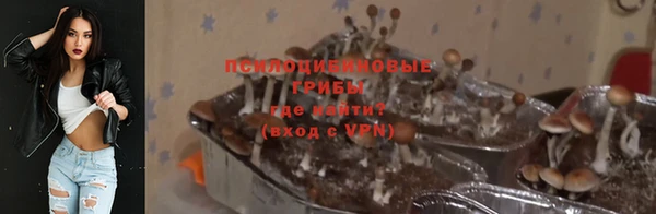 ПСИЛОЦИБИНОВЫЕ ГРИБЫ Новый Уренгой