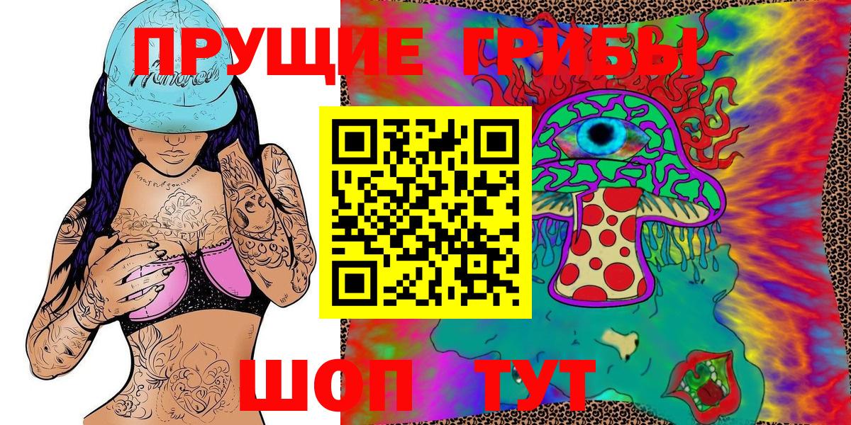 Псилоцибиновые грибы Psilocybine cubensis Бахчисарай