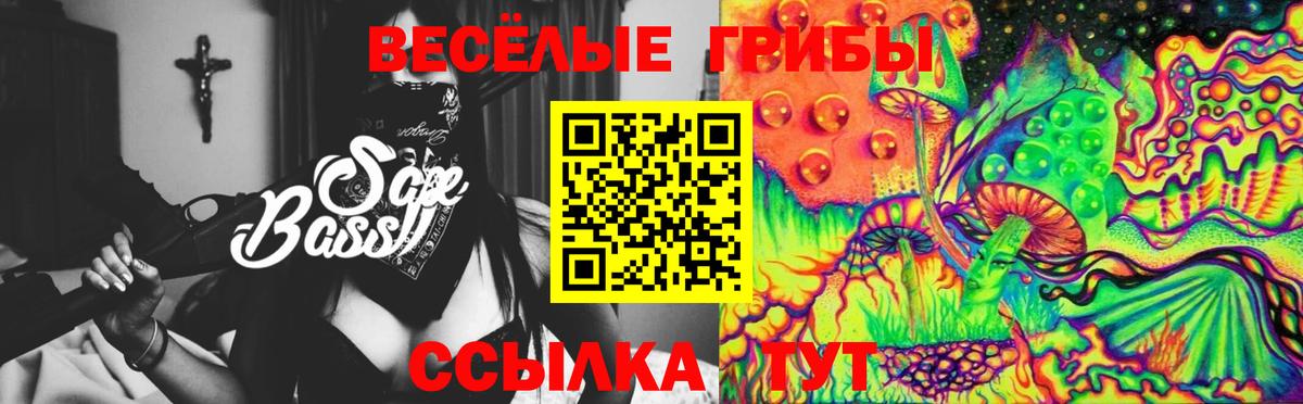 Псилоцибиновые грибы ЛСД Бахчисарай
